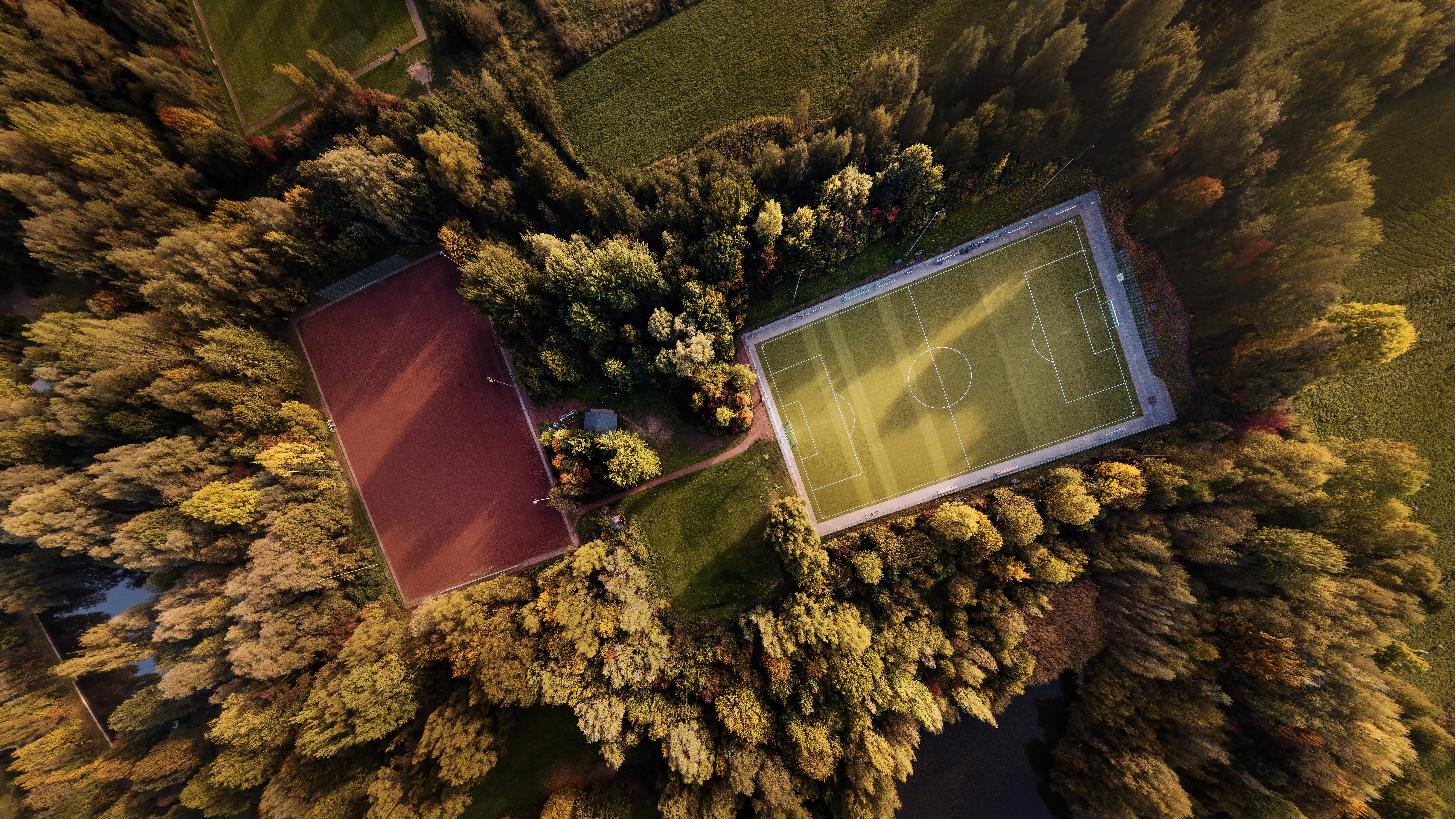 A bird’s-eye view of a court among trees.